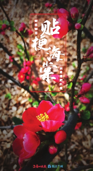 來，跟這些美美的花朵認(rèn)識一下！