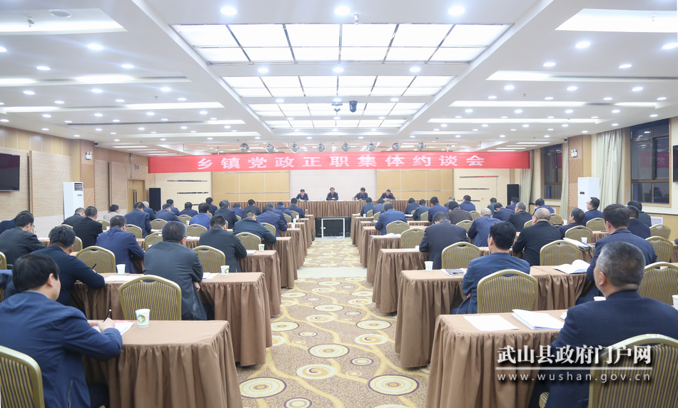 武山縣突出“快、細、實、嚴”全力推進抓黨建促決戰決勝脫貧攻堅問題排查清零