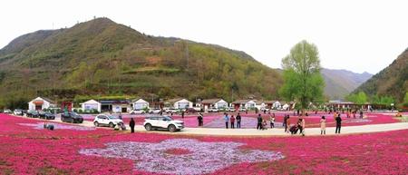美麗隴南，風景這邊獨好——隴南市推進鄉村旅游高質量發展綜述