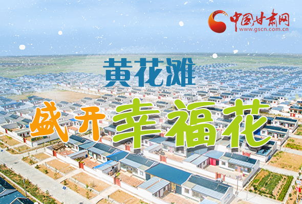 【跟著總書記看甘肅】長圖|武威黃花灘盛開幸?；?
