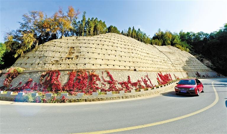 近90度陡坡上種樹！蘭州南北兩山綠化出新招