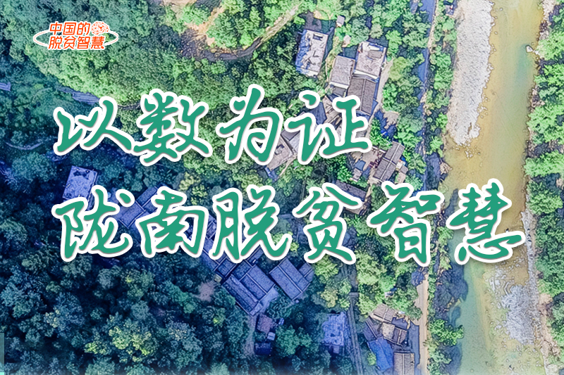 【中國的脫貧智慧】以數為證！隴南脫貧智慧來了！