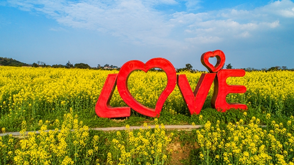“l(fā)ove”創(chuàng)意拍照墻。廖濤 攝 “l(fā)ove”創(chuàng)意拍照墻。廖濤 攝