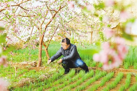 甘肅：時(shí)令催人耕種忙，不誤田間一季春