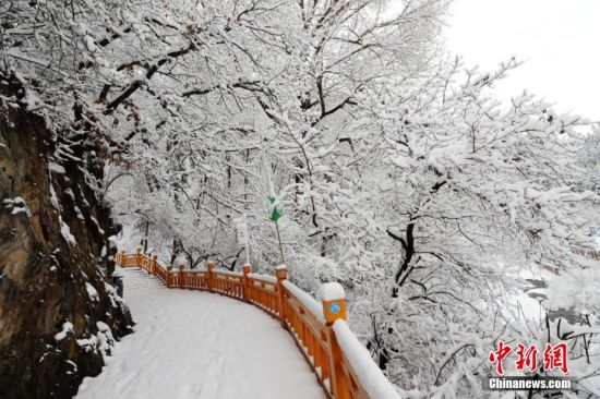 圖為上山的石階被雪覆蓋。張?zhí)鞂?攝 圖為上山的石階被雪覆蓋。張?zhí)鞂?攝
