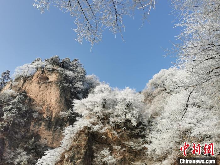 圖為藍天下霧凇籠罩山脈?！⌒煺袢A 攝