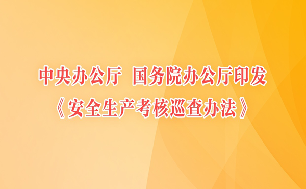 中共中央辦公廳 國務(wù)院辦公廳印發(fā)《安全生產(chǎn)考核巡查辦法》