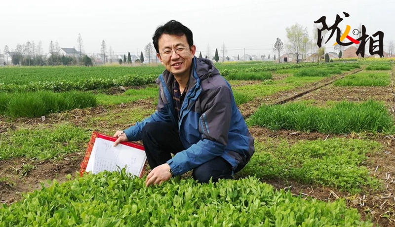【隴人相203期】“土學(xué)者”劉滿強：俯身西部黃土地 匠心澆灌科研花
