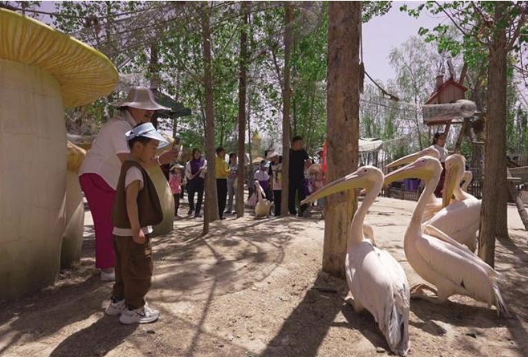 蘭州野生動物園接待游客7.8萬余人次