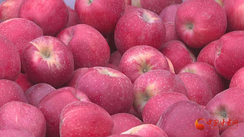 民樂：早熟蘋果喜豐收“甜蜜經濟”促振興